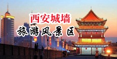欧美大鸡吧草逼视中国陕西-西安城墙旅游风景区